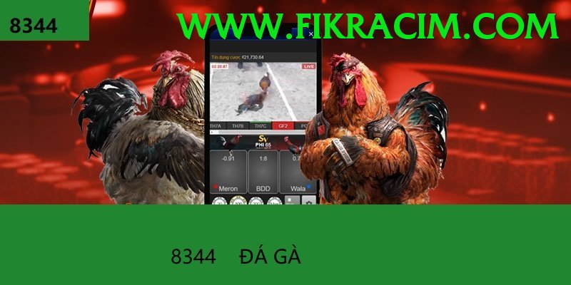 Đá Gà Trực Tiếp - Trải nghiệm tuyệt vời